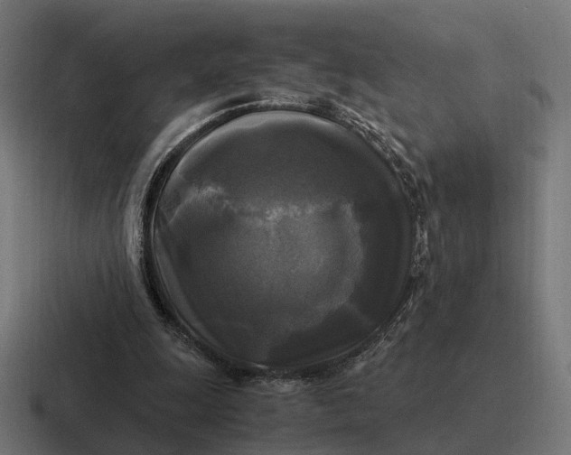 X0000116800247200912311942