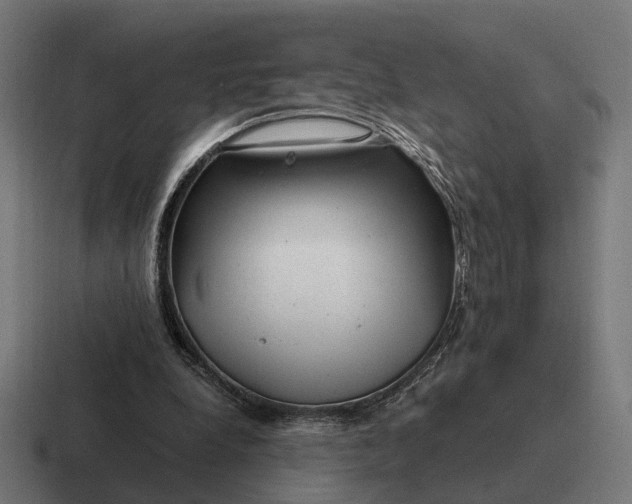 X0000116800248200912311942