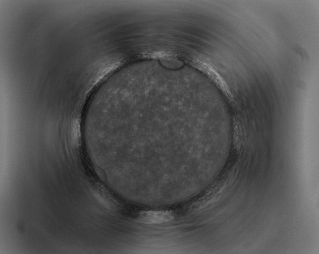 X0000116800251200912311942