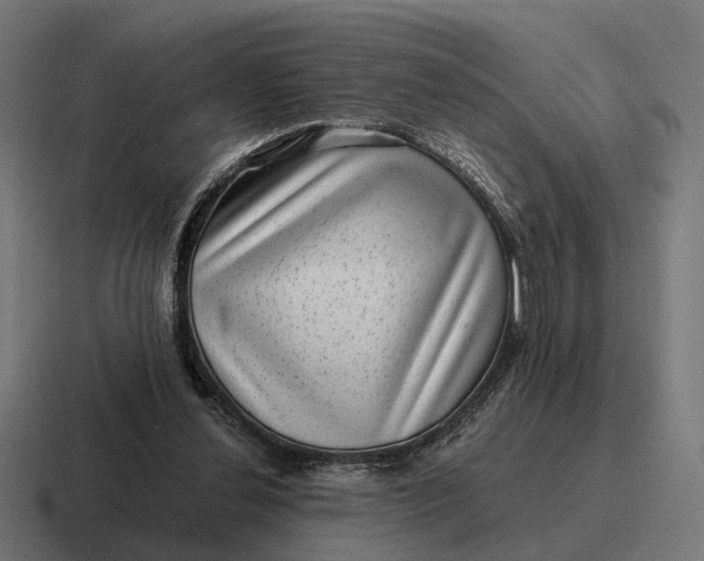 X0000116800252200912311942