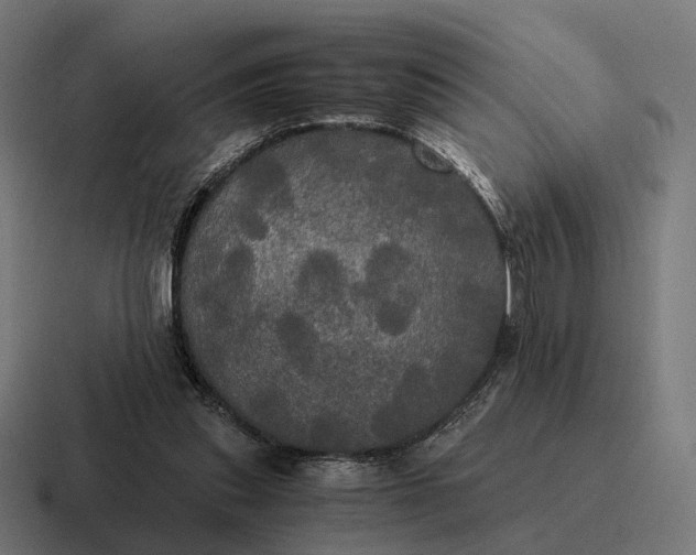 X0000116800253200912311942