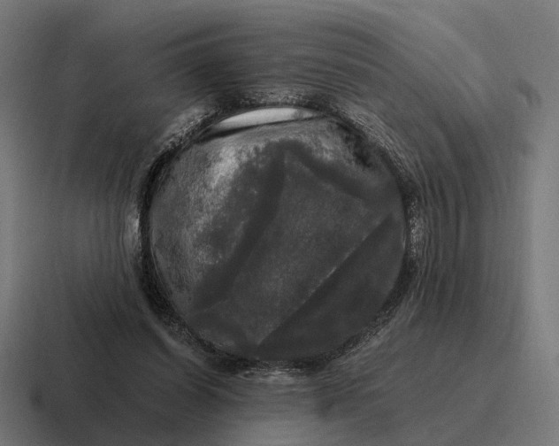 X0000116800254200912311942