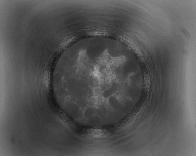 X0000116800255200912311942