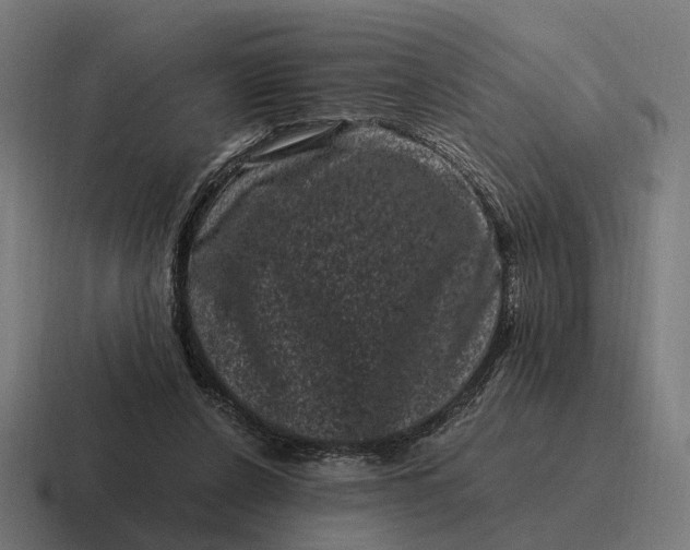 X0000116800256200912311942