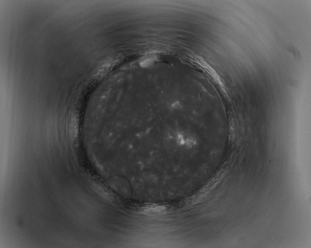 X0000116800257200912311942