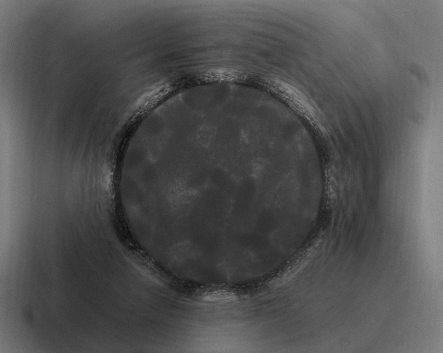 X0000116800258200912311942