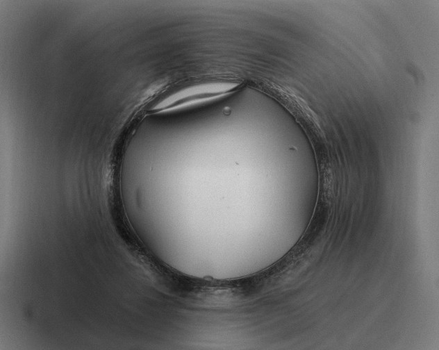 X0000116800260200912311942