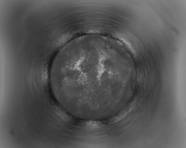 X0000116800261200912311942