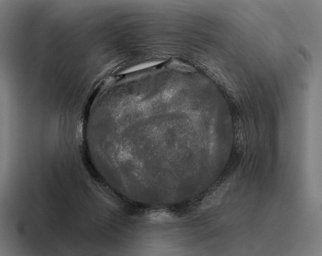 X0000116800262200912311942