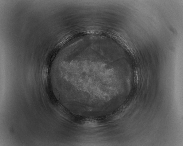 X0000116800263200912311942