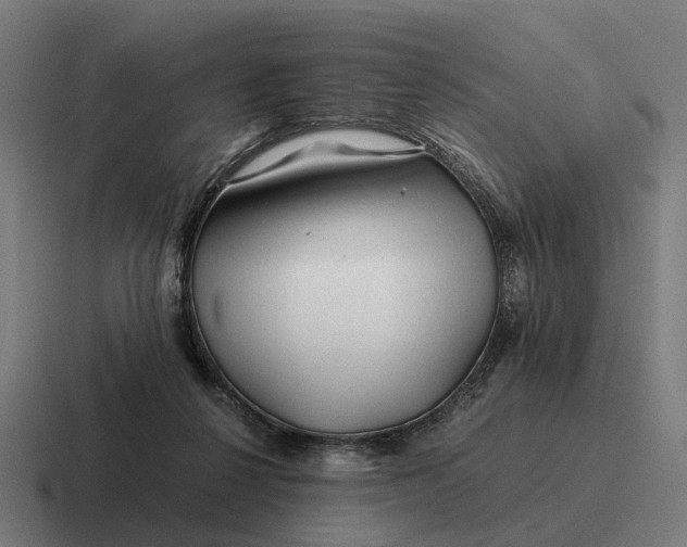 X0000116800264200912311942