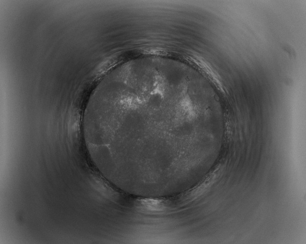 X0000116800265200912311942