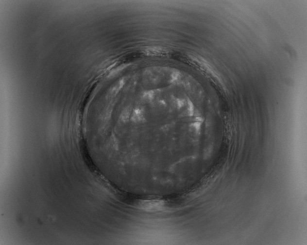 X0000116800266200912311942