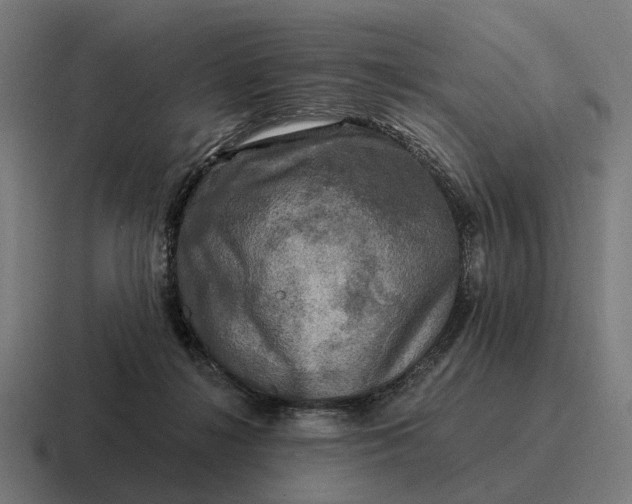 X0000116800268200912311942