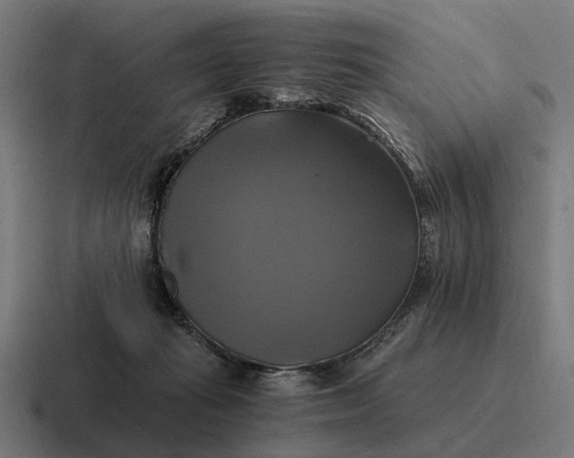 X0000116800269200912311942