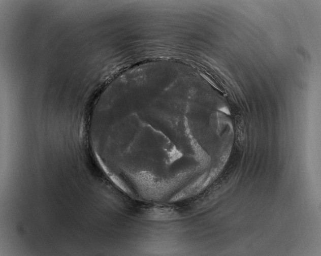 X0000116800270200912311942