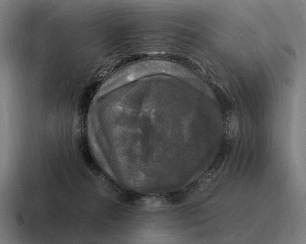 X0000116800272200912311942