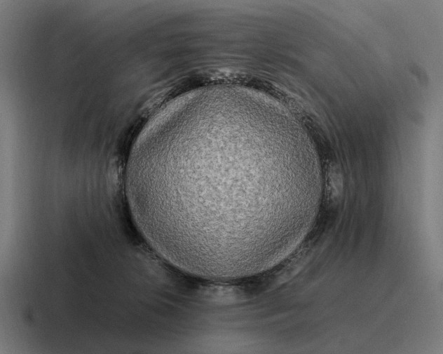 X0000116800276200912311942