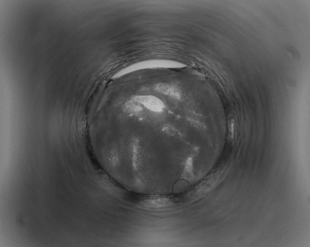 X0000116800278200912311942