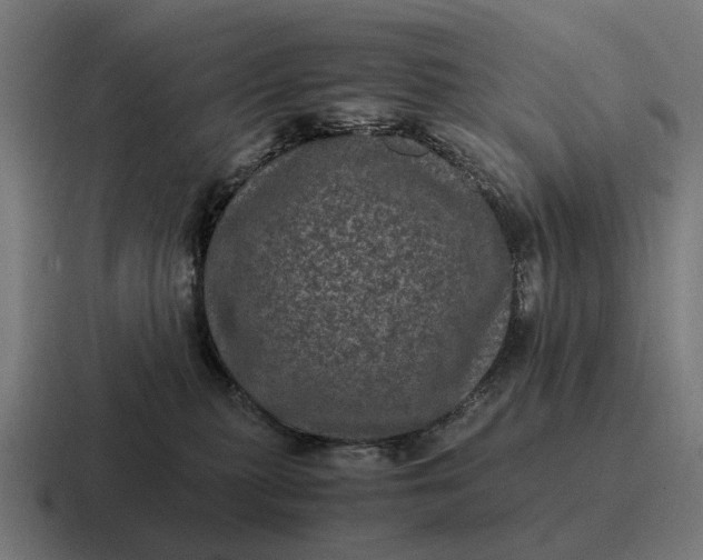 X0000116800279200912311942