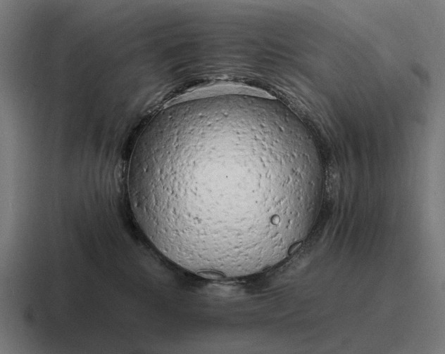 X0000116800280200912311942