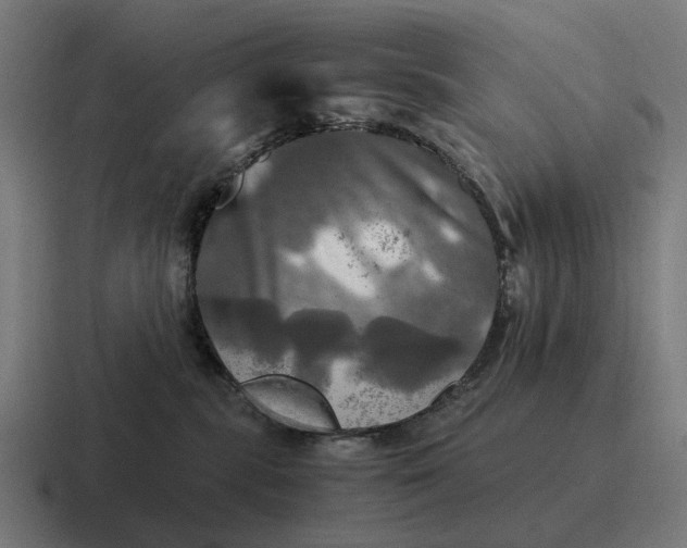 X0000116800283200912311942