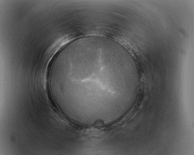 X0000116800290200912311941