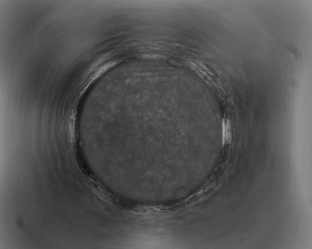 X0000116800291200912311941