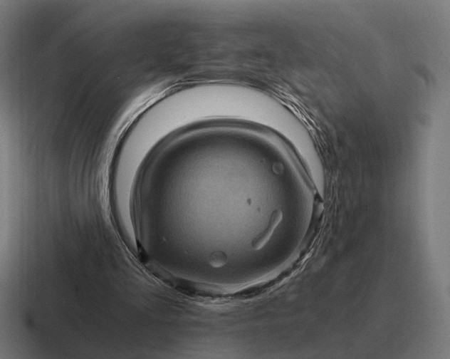 X0000116800293200912311941