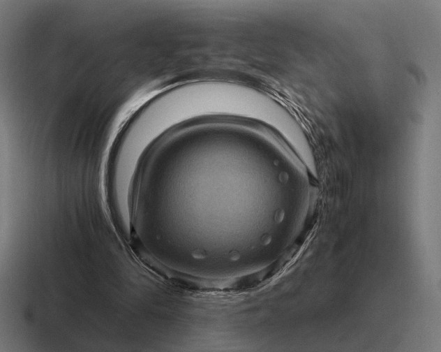 X0000116800294200912311941