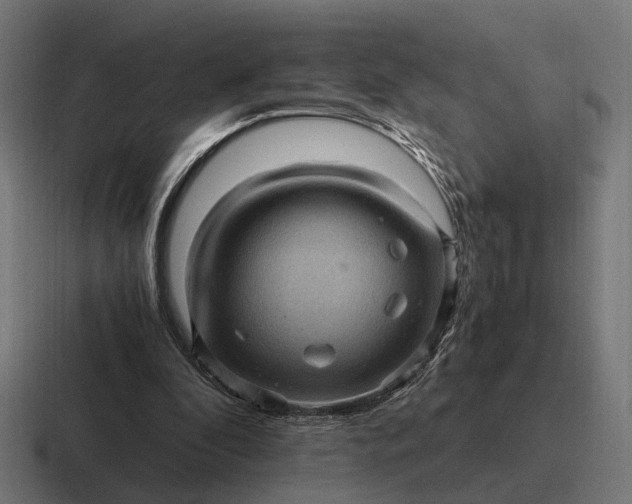 X0000116800296200912311941