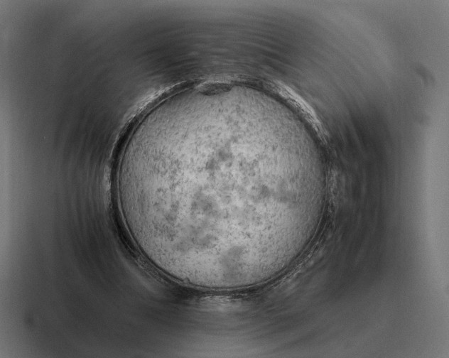 X0000116800298200912311941