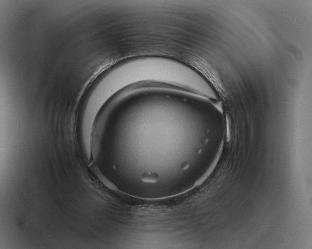 X0000116800300200912311941