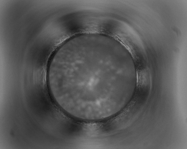 X0000116800301200912311941