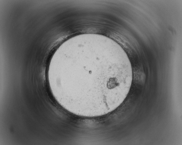 X0000116800302200912311941