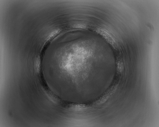 X0000116800304200912311941