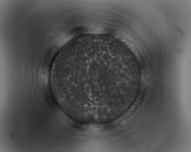 X0000116800305200912311941