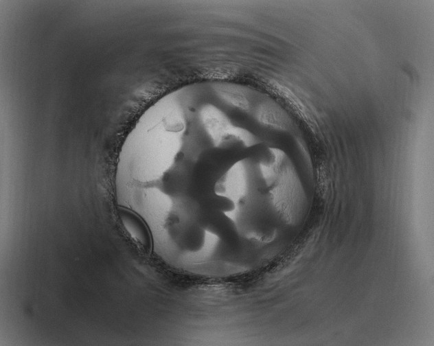 X0000116800307200912311941