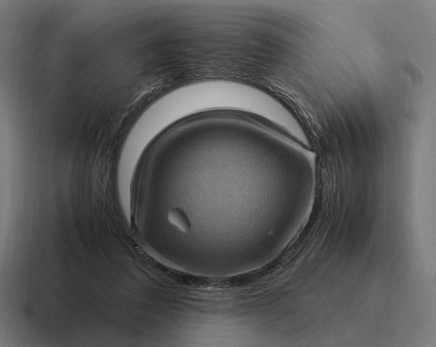 X0000116800308200912311941