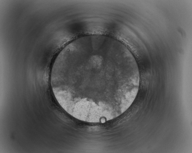 X0000116800309200912311941