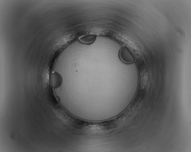 X0000116800310200912311941