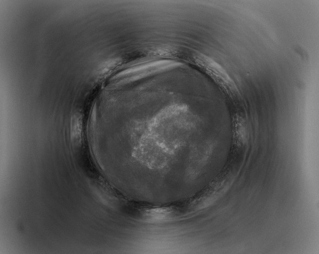 X0000116800312200912311941