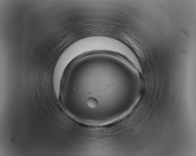 X0000116800313200912311941