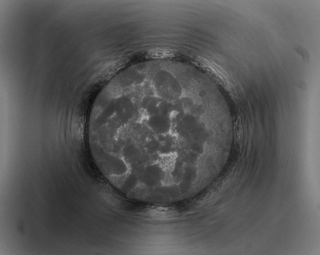 X0000116800315200912311941