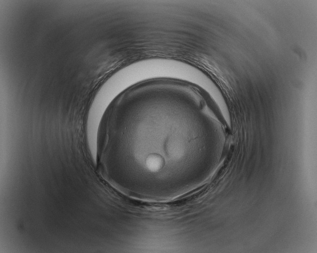 X0000116800317200912311941