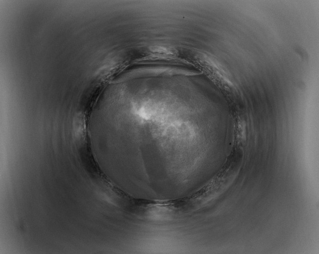 X0000116800320200912311941