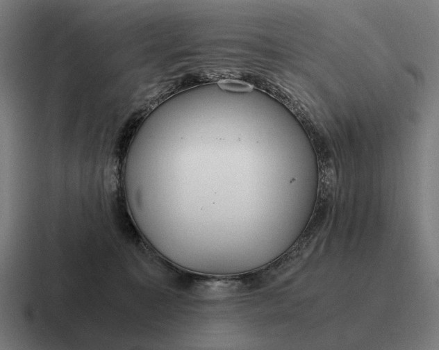 X0000116800323200912311941