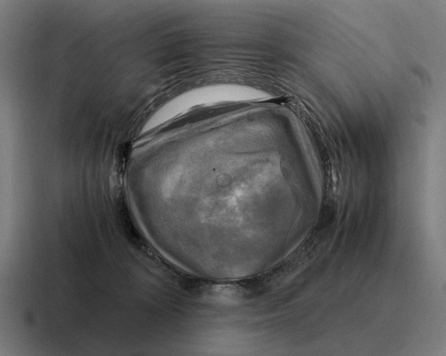 X0000116800324200912311941