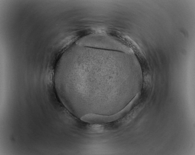 X0000116800325200912311941