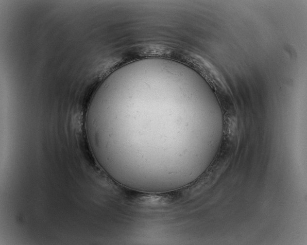 X0000116800326200912311941